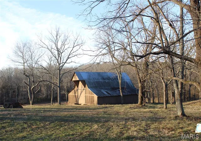 Homes for sale in Alton, MO | 1998 A Hwy, Alton, MO 65690 | MLS# MIS26010263