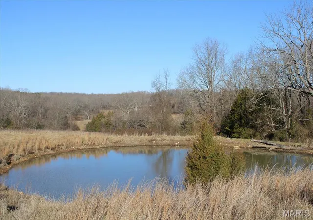 Homes for sale in Alton, MO | 1998 A Hwy, Alton, MO 65690 | MLS# MIS26010263