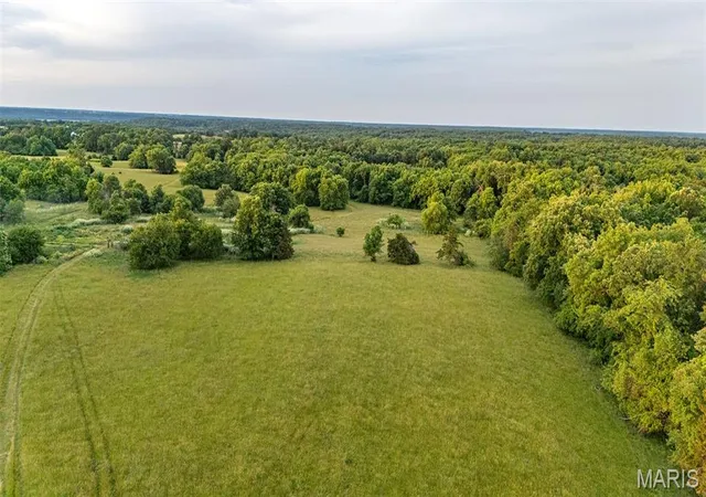 Homes for sale in New London, MO | 48883 Huntington Ln, New London, MO 63459 | MLS# MIS26010389