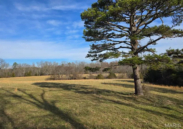 Homes for sale in Houston, MO | 000 Airport Road, Houston, MO 65483 | MLS# MIS26010396