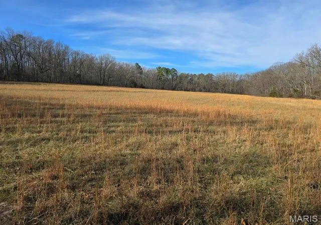 Homes for sale in Houston, MO | 000 Airport Road, Houston, MO 65483 | MLS# MIS26010396