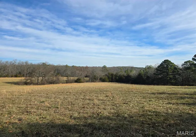 Homes for sale in Houston, MO | 000 Airport Road, Houston, MO 65483 | MLS# MIS26010396