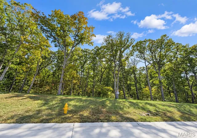 Photo 1 of Land for sale at Lot 3 Forestdale Ln, Warrenton, MO 63383 | MLS# MIS26010744 | Listing updated on 2026-10-15