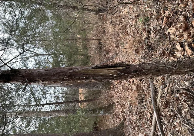 Photo 4 of House for sale at Tbd Upper Janes Creek Road, Ravenden, AR 72459 | MLS# MIS26011209 | Listing updated on 2026-08-31
