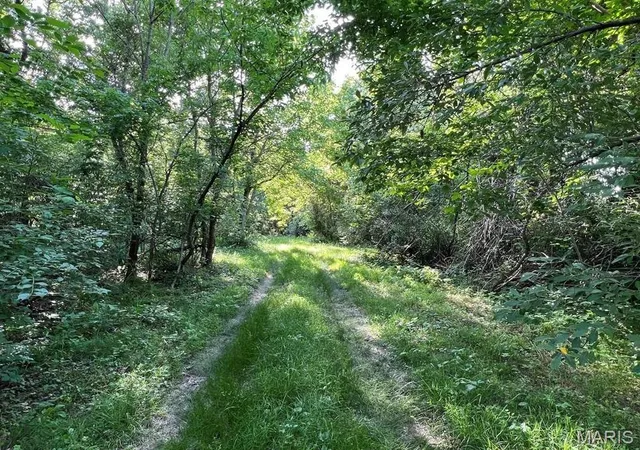 Homes for sale in Freeburg, IL | 0 Tract 10 &11 Cemetery/Barber Rd, Freeburg, IL 62243 | MLS# MIS26011722