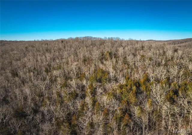 Homes for sale in Tecumseh, MO | 00 County Road 555 B, Tecumseh, MO 65760 | MLS# MIS26011769