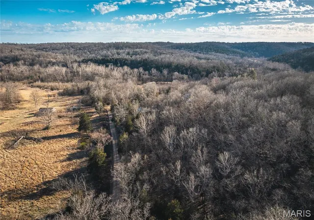 Homes for sale in Tecumseh, MO | 00 County Road 555-B, Tecumseh, MO 65760 | MLS# MIS26011769