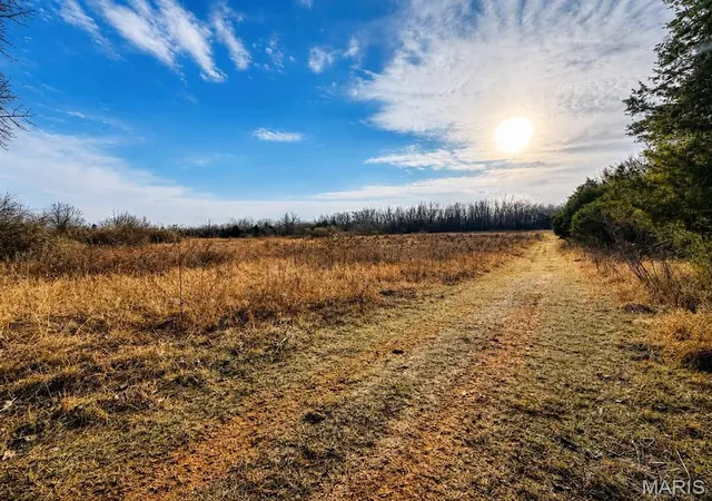 1st image of 2556 Birch St, Doe Run, MO 63637 | MLS# MIS26011801
