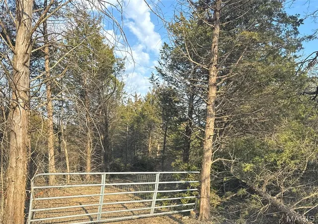 3rd image of 2556 Birch St, Doe Run, MO 63637 | MLS# MIS26011801