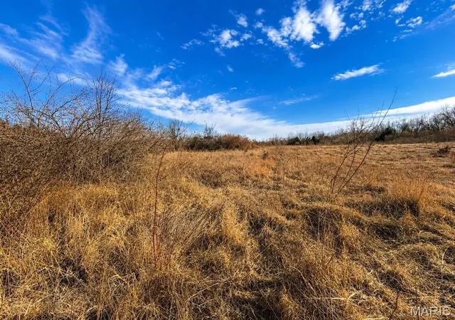 2nd image of 2556 Birch St, Doe Run, MO 63637 | MLS# MIS26011801