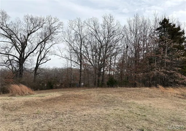 1st image of 16 Brownwood Ct, Poplar Bluff, MO 63901 | MLS# MIS26011910
