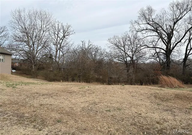 Photo 3 of Land for sale at 16 Brownwood Ct, Poplar Bluff, MO 63901 | MLS# MIS26011910 | Listing updated on 2026-03-03