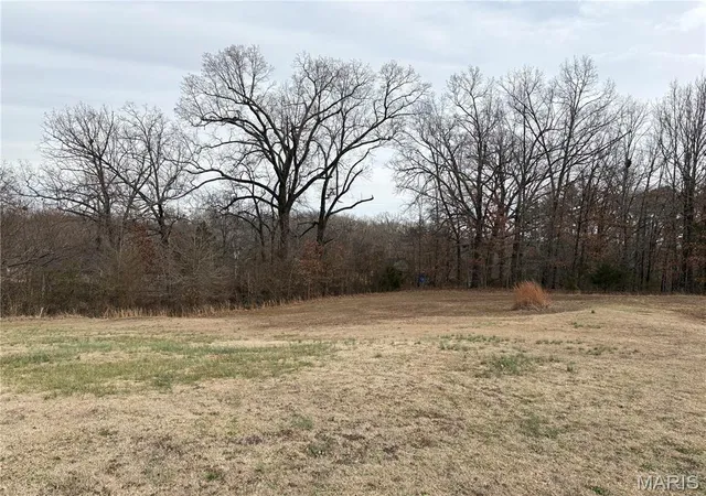 4th image of 16 Brownwood Ct, Poplar Bluff, MO 63901 | MLS# MIS26011910