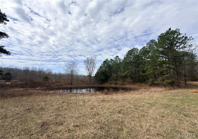 Homes for sale in Fremont, MO | 72 Off Ocr 159, Fremont, MO 63941 | MLS# MIS26012447