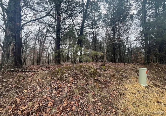 Photo 4 of Land for sale at 1398 Heather Dr, Marthasville, MO 63357 | MLS# MIS26012465 | Listing updated on 2026-05-08