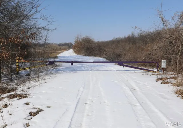 Homes for sale in Dudley, MO | 0 Hwy 51, Dudley, MO 63841 | MLS# MIS26012510