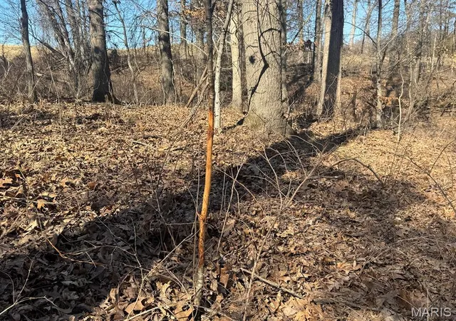 Photo 1 of Land for sale at 00 Willow Lane, Monroe City, MO 63456 | MLS# MIS26012715 | Listing updated on 2026-03-05