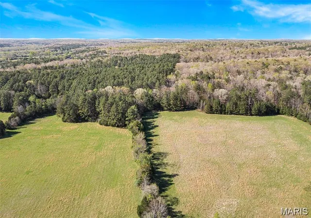 5th image of One Off Hwy M, Silva, MO 63964 | MLS# MIS26012809