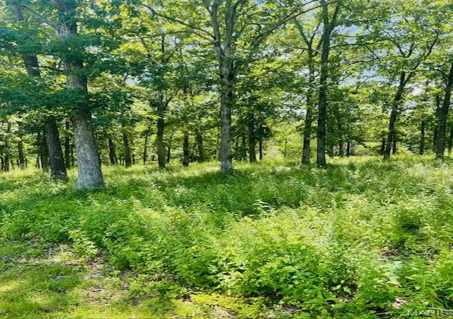 Photo 1 of Land for sale at 0 Krausetown Rd, Owensville, MO 65066 | MLS# MIS26014004 | Listing updated on 2026-03-13