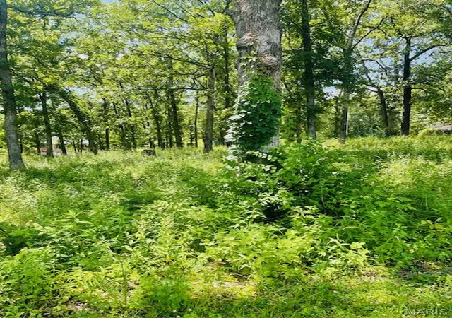 Photo 2 of Land for sale at 0 Krausetown Rd, Owensville, MO 65066 | MLS# MIS26014004 | Listing updated on 2026-03-13
