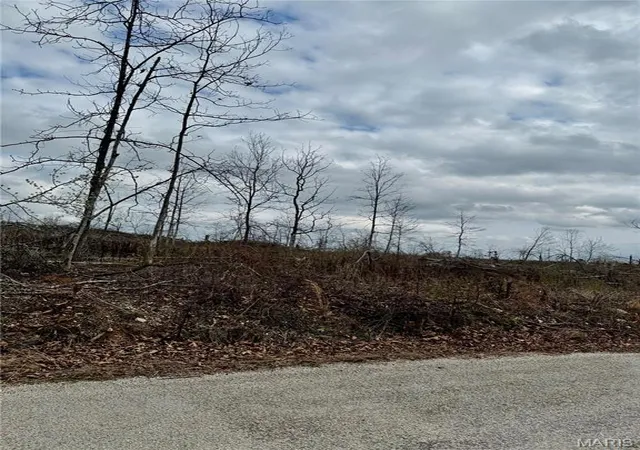 Homes for sale in Mountain View, MO | 1365 County Road 3500, Mountain View, MO 65548 | MLS# MIS26014368