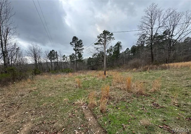 4th image of 5122 Us Hwy 160 W, Doniphan, MO 63935 | MLS# MIS26014439