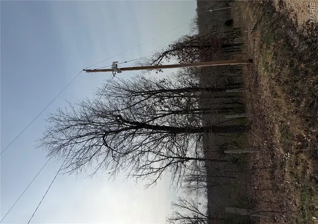 Photo 1 of Land for sale at (Undisclosed), Steelville, MO 65565 | MLS# MIS26014481 | Listing updated on 2026-10-07
