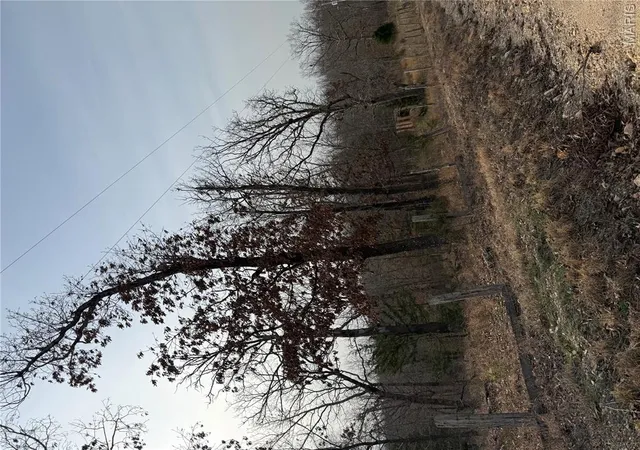 Photo 2 of Land for sale at (Undisclosed), Steelville, MO 65565 | MLS# MIS26014481 | Listing updated on 2026-10-07