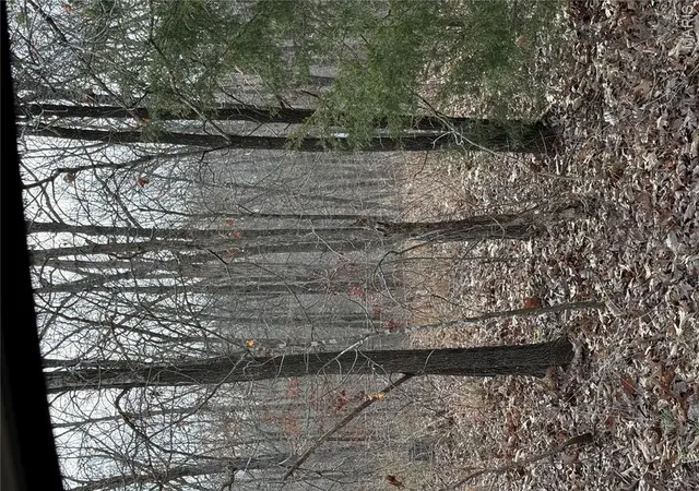 Photo 3 of Land for sale at (Undisclosed), Steelville, MO 65565 | MLS# MIS26014481 | Listing updated on 2026-10-07