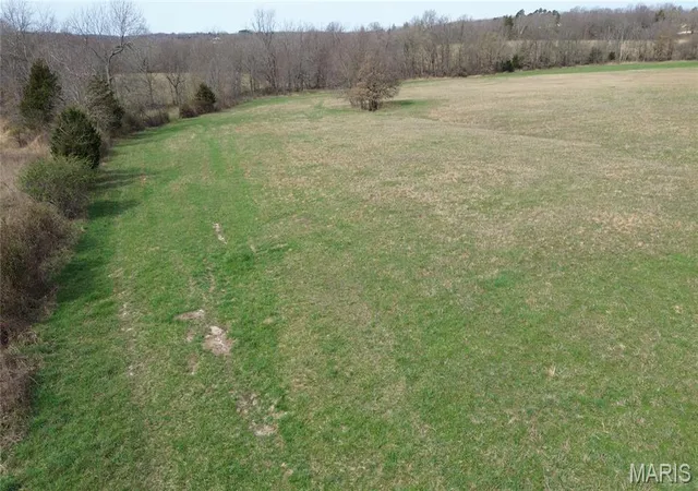 4th image of Tbd Hwy F, Salem, MO 65560 | MLS# MIS26014612