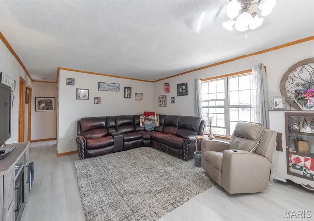 Homes for sale in Salem, MO | 947 Hwy P, Salem, MO 65560 | MLS# MIS26014740