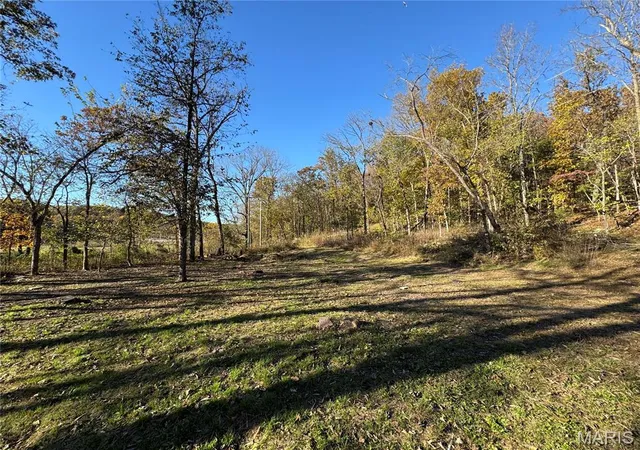 17th image of 000 Hank Lane, Dixon, MO 65459 | MLS# MIS26014746
