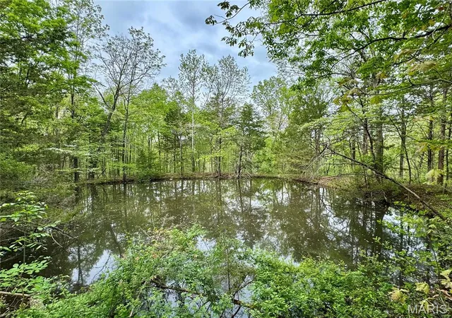 3rd image of 000 Hank Lane, Dixon, MO 65459 | MLS# MIS26014746