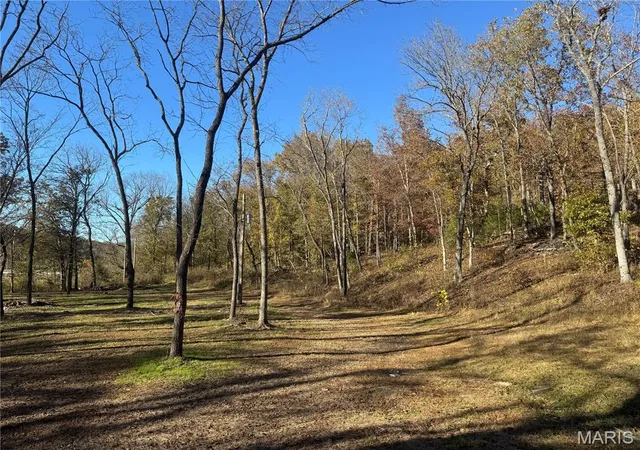 1st image of 000 Hank Lane, Dixon, MO 65459 | MLS# MIS26014746