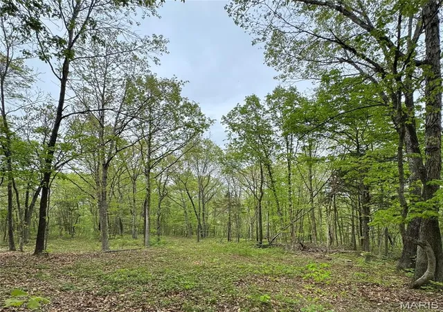 4th image of 000 Hank Lane, Dixon, MO 65459 | MLS# MIS26014746