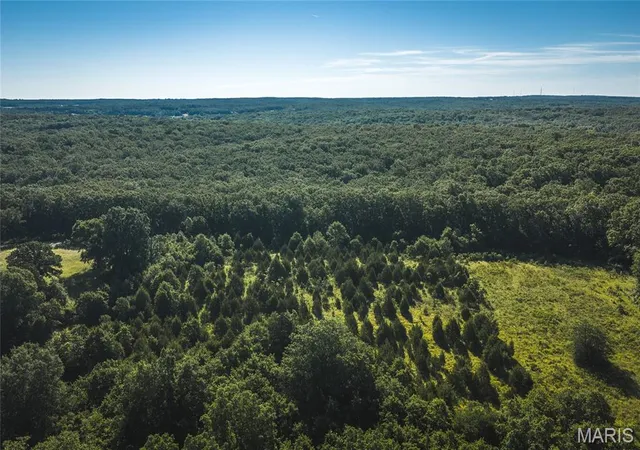 2nd image of 993 Acres State Route B, Saint James, MO 65559 | MLS# MIS26015482