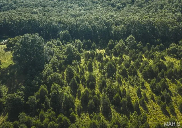 3rd image of 993 Acres State Route B, Saint James, MO 65559 | MLS# MIS26015482