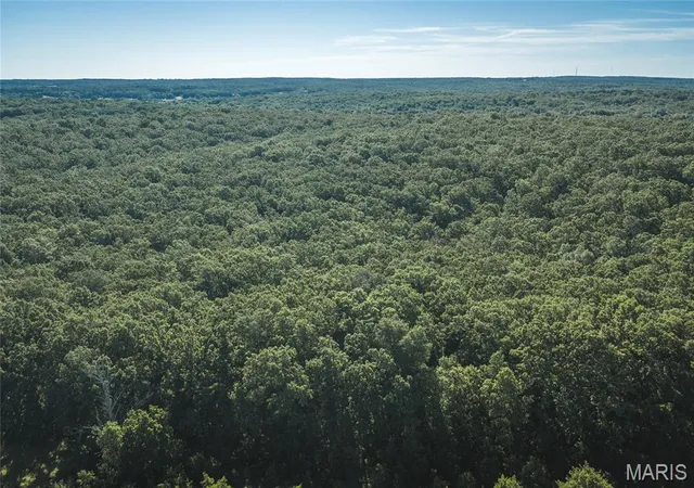 4th image of 993 Acres State Route B, Saint James, MO 65559 | MLS# MIS26015482