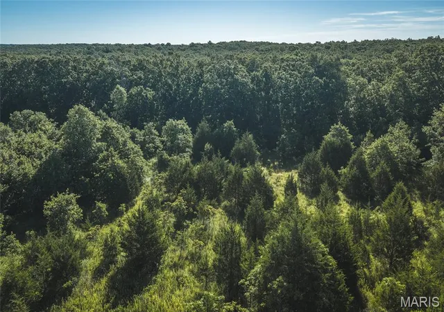 5th image of 993 Acres State Route B, Saint James, MO 65559 | MLS# MIS26015482