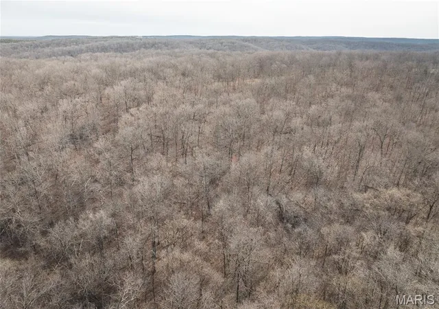 Homes for sale in St James, MO | 000 County Road 3600 Tract 3, St James, MO 65559 | MLS# MIS26015673