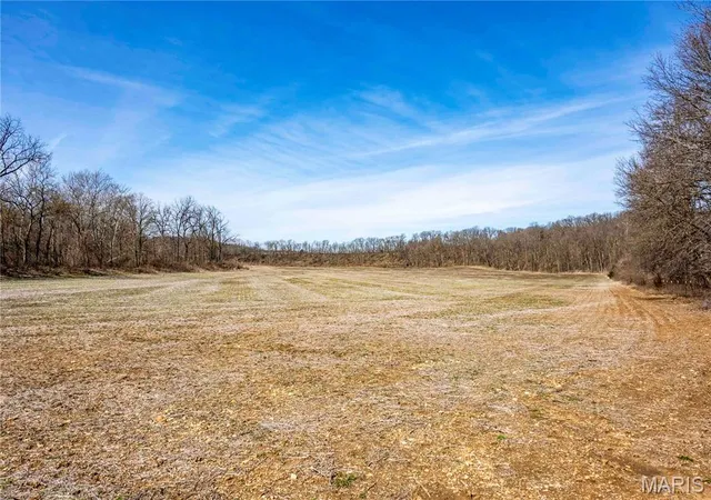 Homes for sale in Frankford, MO | 00 Pike 58, Frankford, MO 63441 | MLS# MIS26016017