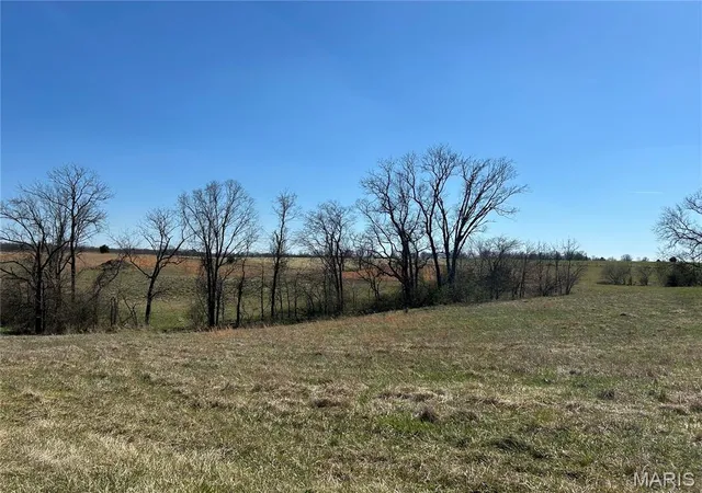 Homes for sale in Elsberry, MO | 11 And 21 Bryants Creek Dr, Elsberry, MO 63343 | MLS# MIS26016063