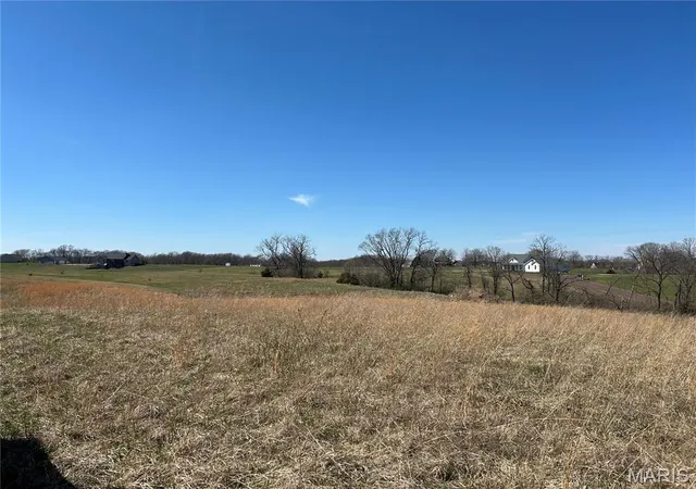 Homes for sale in Elsberry, MO | 11 And 21 Bryants Creek Dr, Elsberry, MO 63343 | MLS# MIS26016063