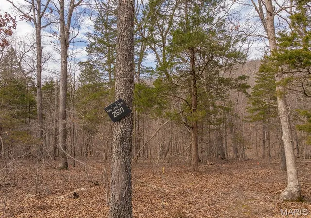1st image of 2537 Alpine Woods Dr, Wright City, MO 63390 | MLS# MIS26016081