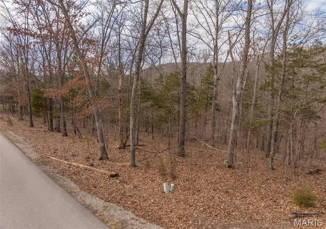 Photo 3 of Land for sale at 2537 Alpine Woods Dr, Wright City, MO 63390 | MLS# MIS26016081 | Listing updated on 2026-08-29