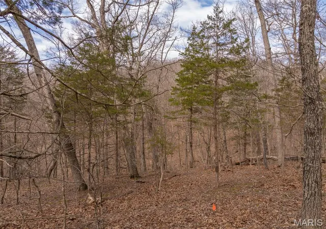 Photo 3 of Land for sale at 2537 Alpine Woods Dr, Wright City, MO 63390 | MLS# MIS26016081 | Listing updated on 2026-08-29