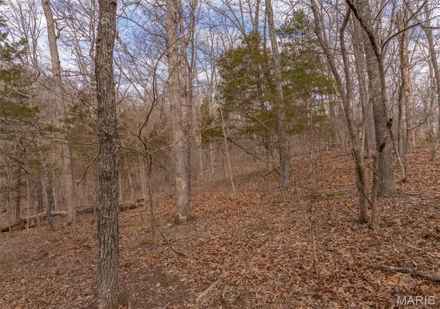 Photo 4 of Land for sale at 2537 Alpine Woods Dr, Wright City, MO 63390 | MLS# MIS26016081 | Listing updated on 2026-08-29