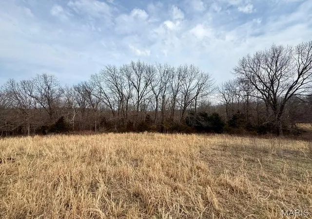 Homes for sale in Cabool, MO | 000 Hwy M Tract F, Cabool, MO 65689 | MLS# MIS26016362