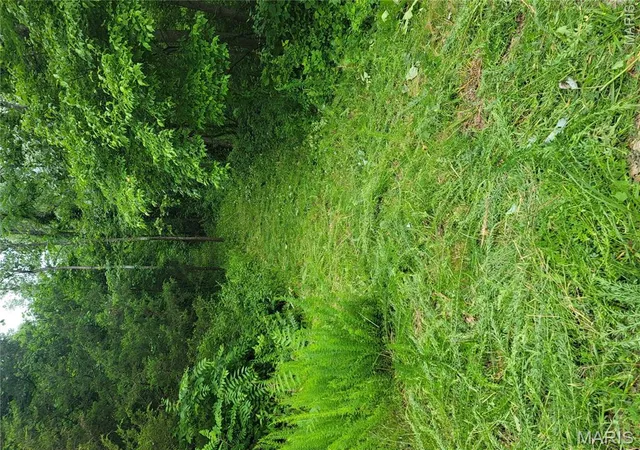 1st image of 436 Lower Hollow Ln, Augusta, MO 63332 | MLS# MIS26016549