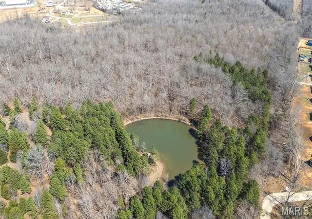 6th image of 0 East Of County Road 441, Poplar Bluff, MO 63901 | MLS# MIS26016580